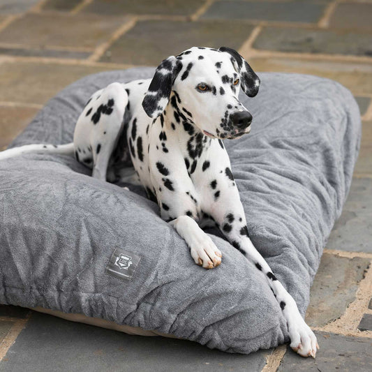 Introducing the ultimate bamboo dog drying cushion cover in beautiful grey Gun Metal, made from luxurious bamboo to aid sensitive skin featuring elasticated hem for a snug fit with super absorbent material for easy pet drying! Available now at Lords & Labradors In three sizes and four colours to suit all breeds! 