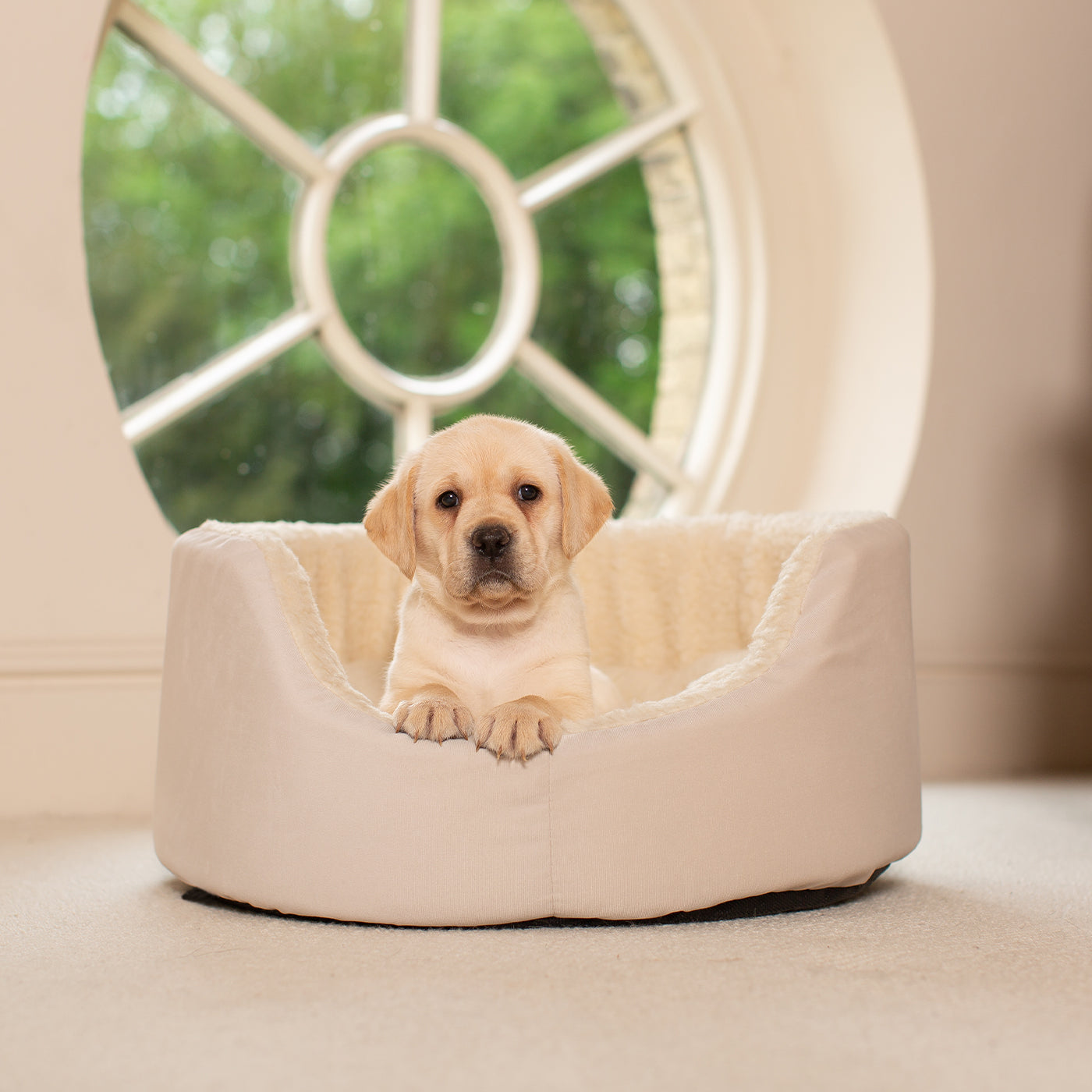  Grow With me Puppy Oval Bed, Crafted From Plush Sherpa Fleece & Suede Outer, Complete With Foam Inner For The Perfect Bed For Your Dog! Available Now at Lords & Labradors