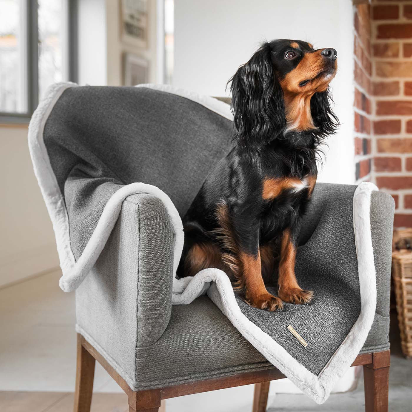 Present your furry friend with our luxuriously thick, plush blanket for your pet. Featuring a reverse side with hardwearing woven fabric handmade in Italy for the perfect high-quality pet blanket! Essentials Herdwick Blanket In Graphite, Available now at Lords & Labradors    