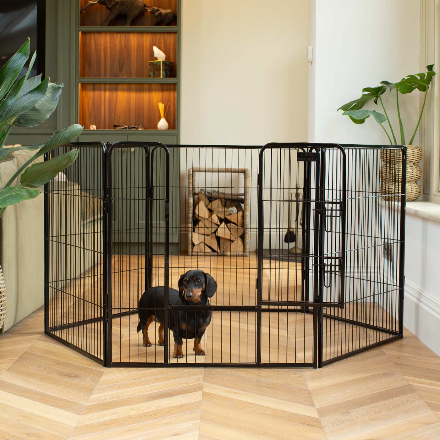 Ensure The Ultimate Puppy Safety with Our Heavy Duty 80cm High Black Metal Play Pen, Crafted to Take Your Pet Right Through Maturity! Powder Coated to Be Extra Hardwearing! 6 panels that are 80cm high and attachments to connect to any crate. The modular system allows you to change the puppy pen shape with multiple layouts! Available To Now at Lords & Labradors 