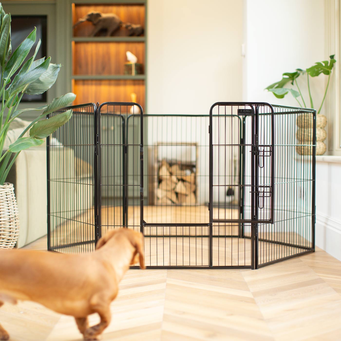 Ensure The Ultimate Puppy Safety with Our Heavy Duty 80cm High Black Metal Play Pen, Crafted to Take Your Pet Right Through Maturity! Powder Coated to Be Extra Hardwearing! 6 panels that are 80cm high and attachments to connect to any crate. The modular system allows you to change the puppy pen shape with multiple layouts! Available To Now at Lords & Labradors 