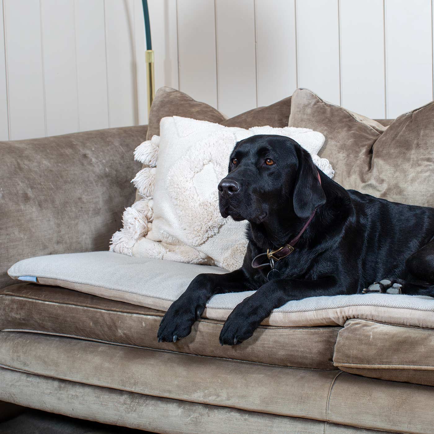 [colour:natural herringbone] Discover Our Luxury Herringbone Sofa Topper, The Perfect Pet sofa Accessory In Stunning Natural Herringbone Tweed! Available Now at Lords & Labradors