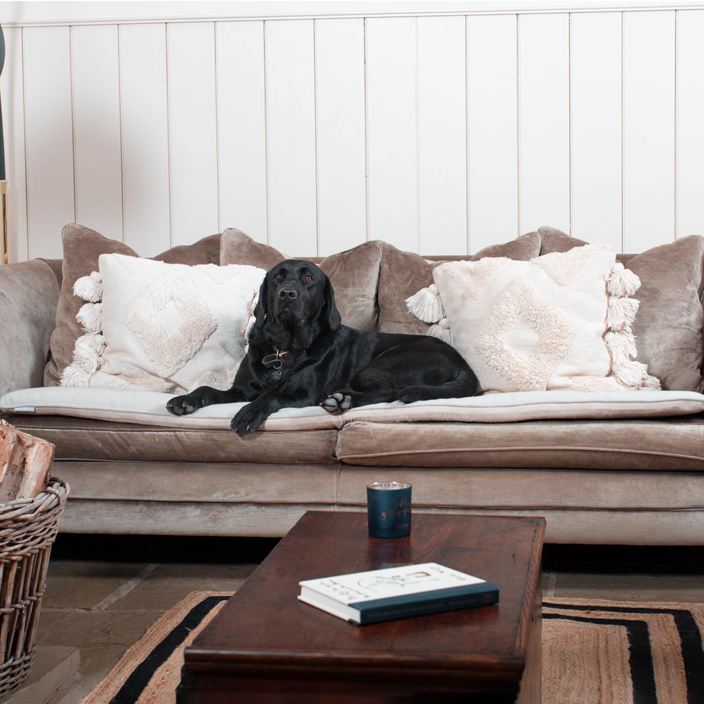 [colour:natural herringbone] Discover Our Luxury Herringbone Sofa Topper, The Perfect Pet sofa Accessory In Stunning Natural Herringbone Tweed! Available Now at Lords & Labradors