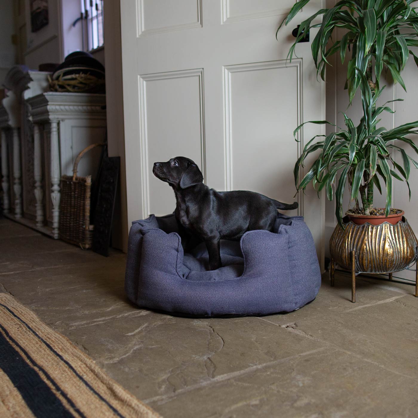 Discover Our Luxurious High Wall Bed For Dogs, Featuring inner pillow with plush teddy fleece on one side To Craft The Perfect Dogs Bed In Stunning Oxford Herringbone Tweed! Available To Personalise Now at Lords & Labradors 