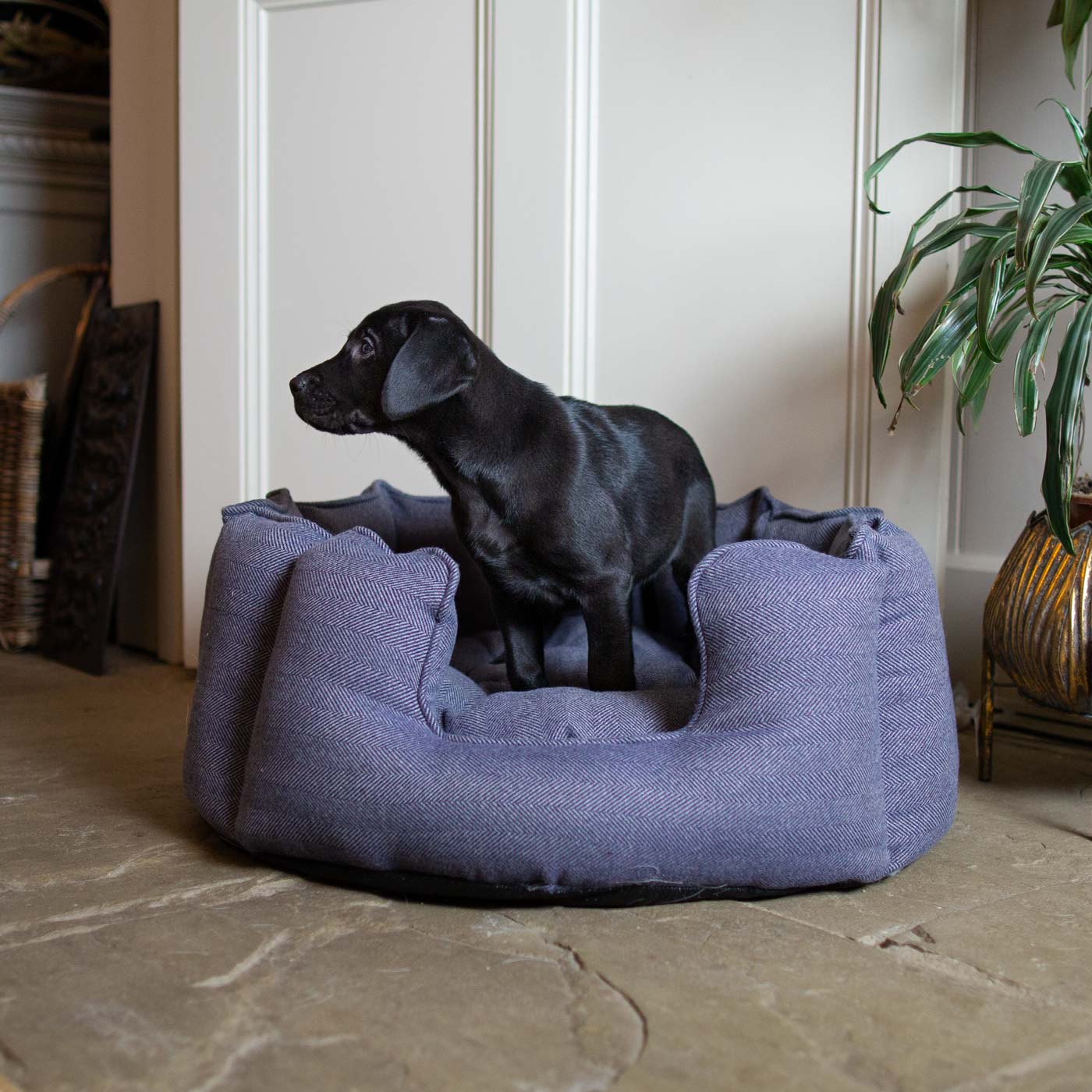 Discover Our Luxurious High Wall Bed For Dogs, Featuring inner pillow with plush teddy fleece on one side To Craft The Perfect Dogs Bed In Stunning Oxford Herringbone Tweed! Available To Personalise Now at Lords & Labradors 