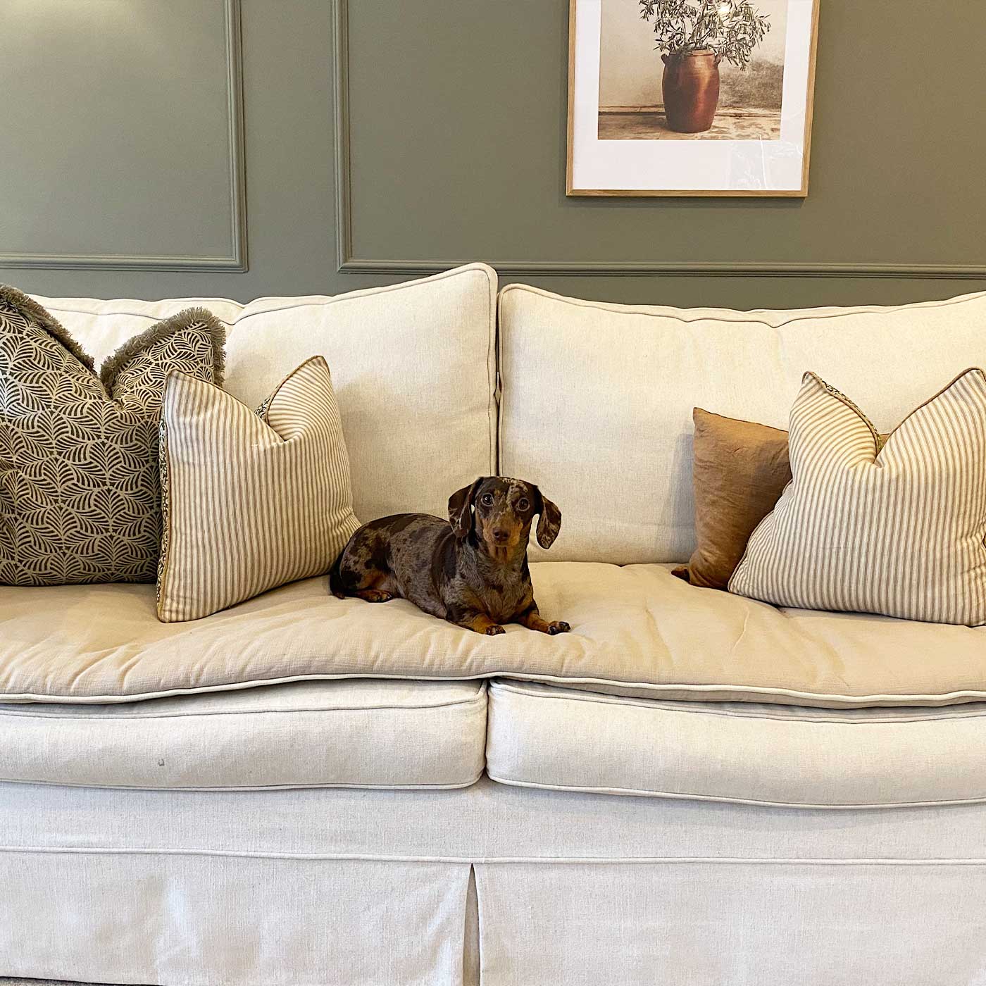 [colour:savanna oatmeal] Discover Our Luxury Savanna Sofa Topper, The Perfect Pet sofa Accessory In Stunning Savanna Oatmeal! Available Now at Lords & Labradors