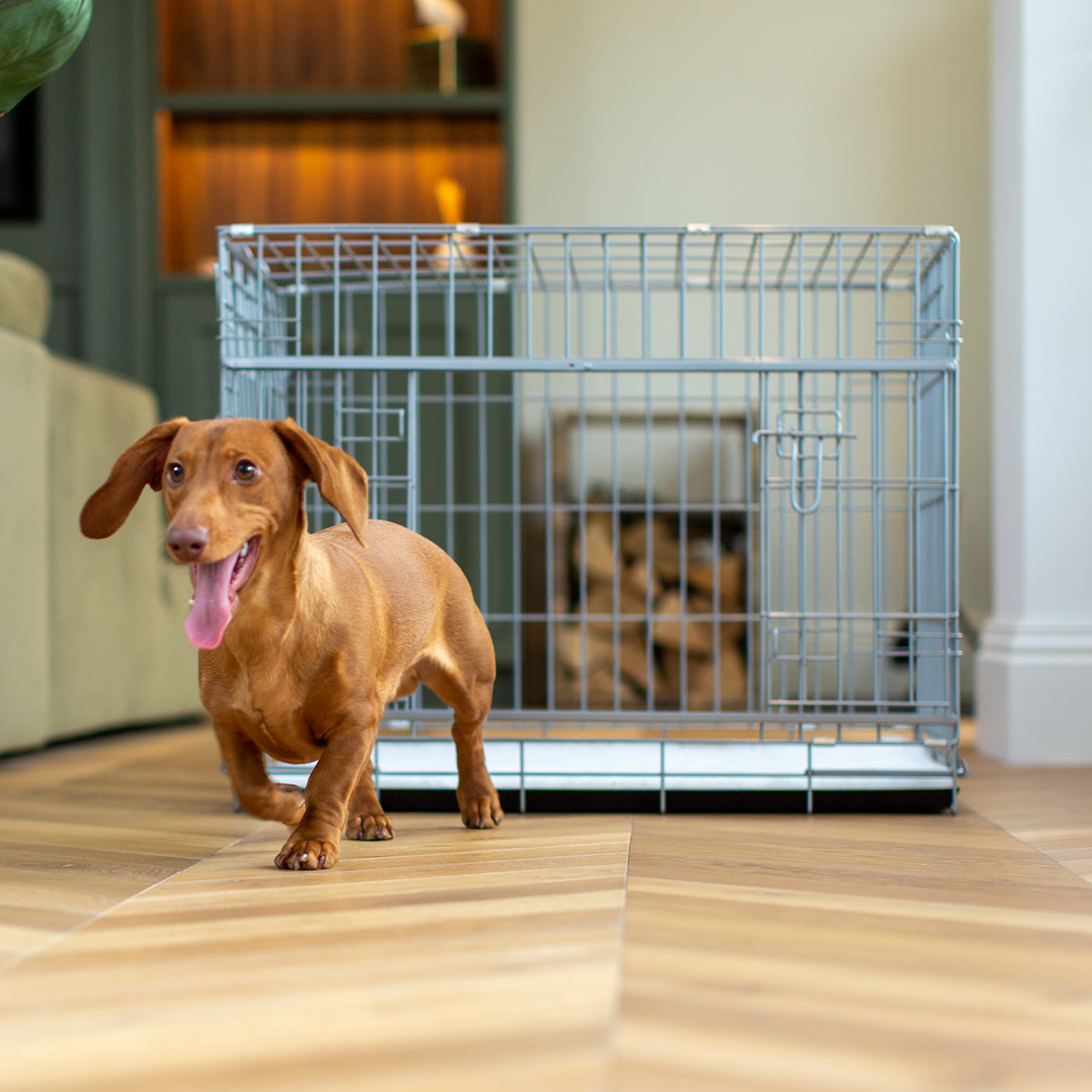 Discover the perfect deluxe heavy duty silver dog crate, featuring two doors for easy access and a removable tray for easy cleaning! The ideal choice to keep new puppies safe, made using pet safe galvanised steel! Available now in 3 sizes at Lords & Labradors