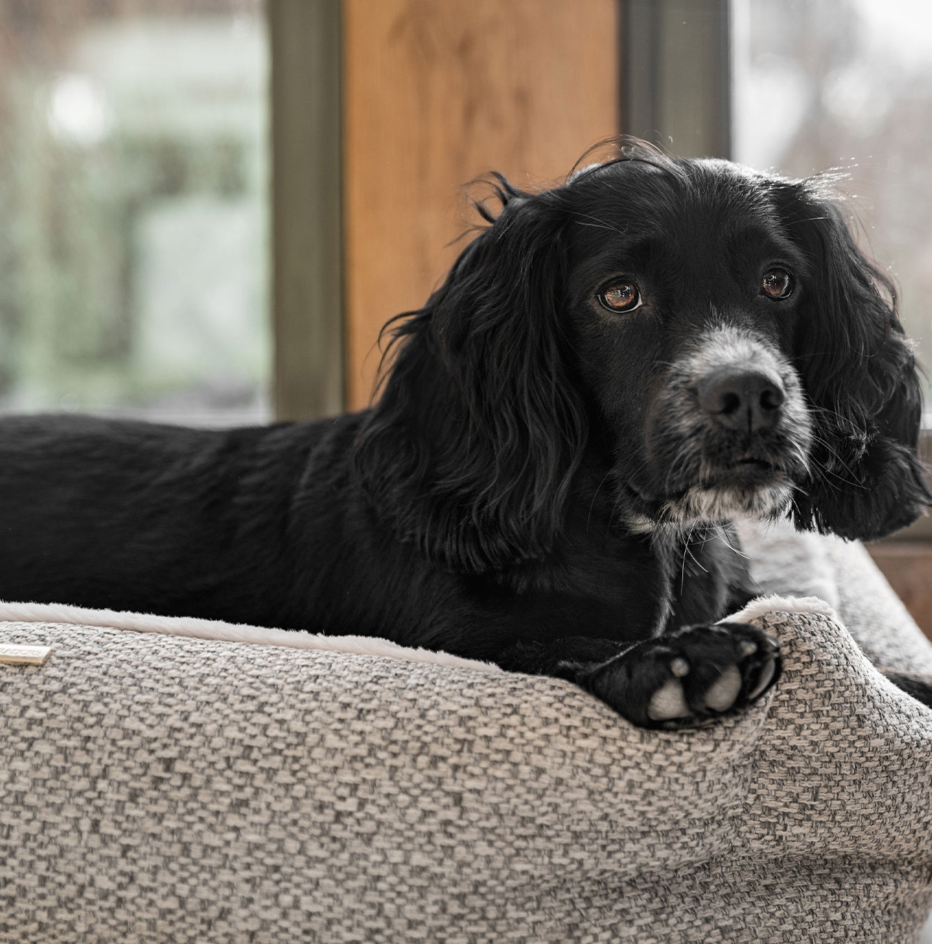 Discover This Luxurious Box Bed For Dogs, Made Using Beautiful Herdwick Fabric To Craft The Perfect Dog Box Bed! In Stunning Pebble, Available Now at Lords & Labradors 