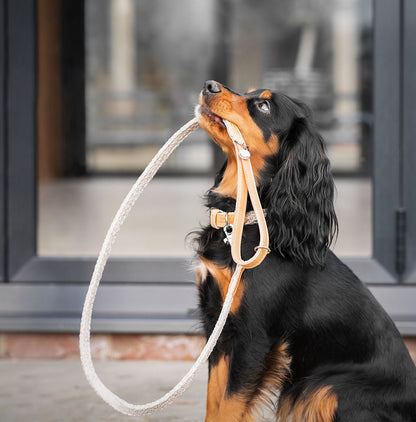 Discover dog walking luxury with our handcrafted Italian Herdwick dog lead in beautiful Sandstone with woven natural sandstone fabric! The perfect lead for dogs available now at Lords & Labradors    