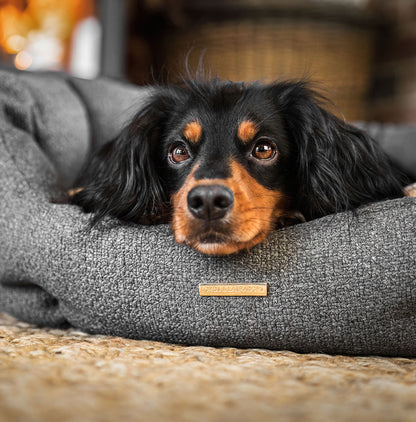 Discover our luxury Herdwick oval dog bed in beautiful graphite, the ideal choice for dogs to enjoy blissful nap-time, featuring reversible inner cushion with raised sides for dogs who love to rest their head for the ultimate cosiness! Handcrafted in Italy for pure pet luxury! Available now at Lords & Labradors    