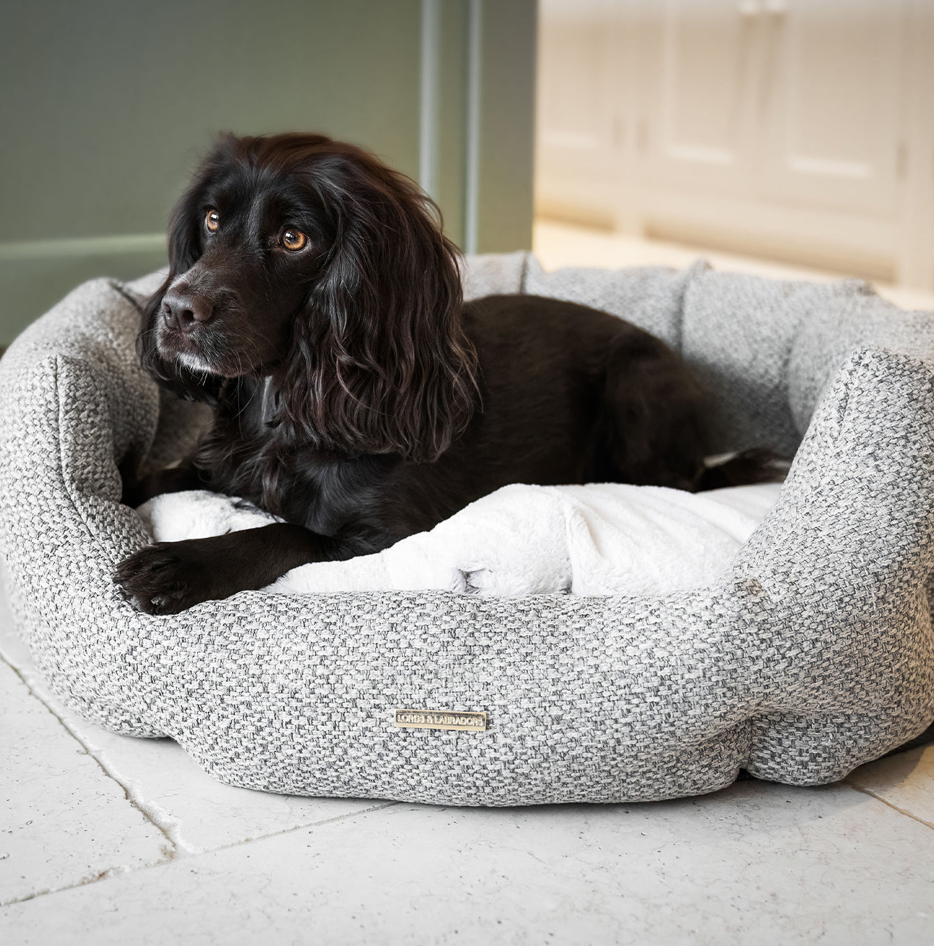 Discover our luxury Herdwick oval dog bed in beautiful pebble, the ideal choice for dogs to enjoy blissful nap-time, featuring reversible inner cushion with raised sides for dogs who love to rest their head for the ultimate cosiness! Handcrafted in Italy for pure pet luxury! Available now at Lords & Labradors 