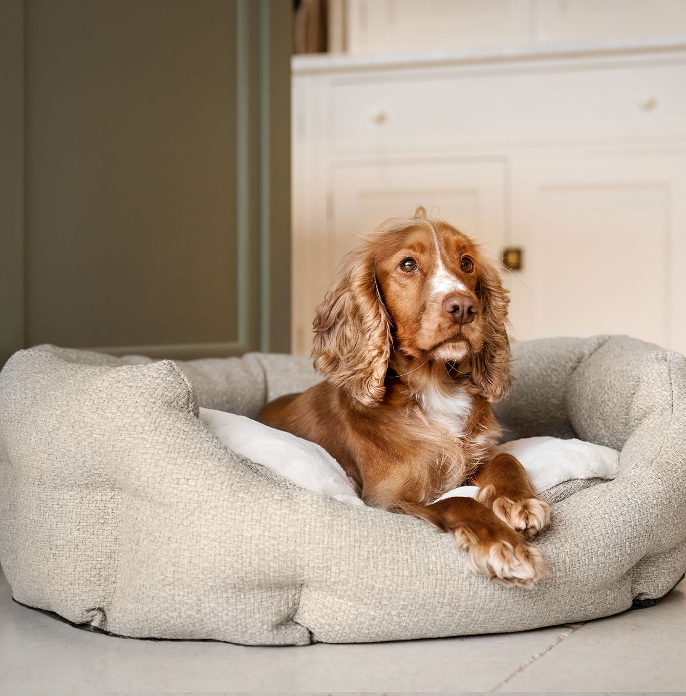 Discover our luxury Herdwick oval dog bed in beautiful sandstone, the ideal choice for dogs to enjoy blissful nap-time, featuring reversible inner cushion with raised sides for dogs who love to rest their head for the ultimate cosiness! Handcrafted in Italy for pure pet luxury! Available now at Lords & Labradors    