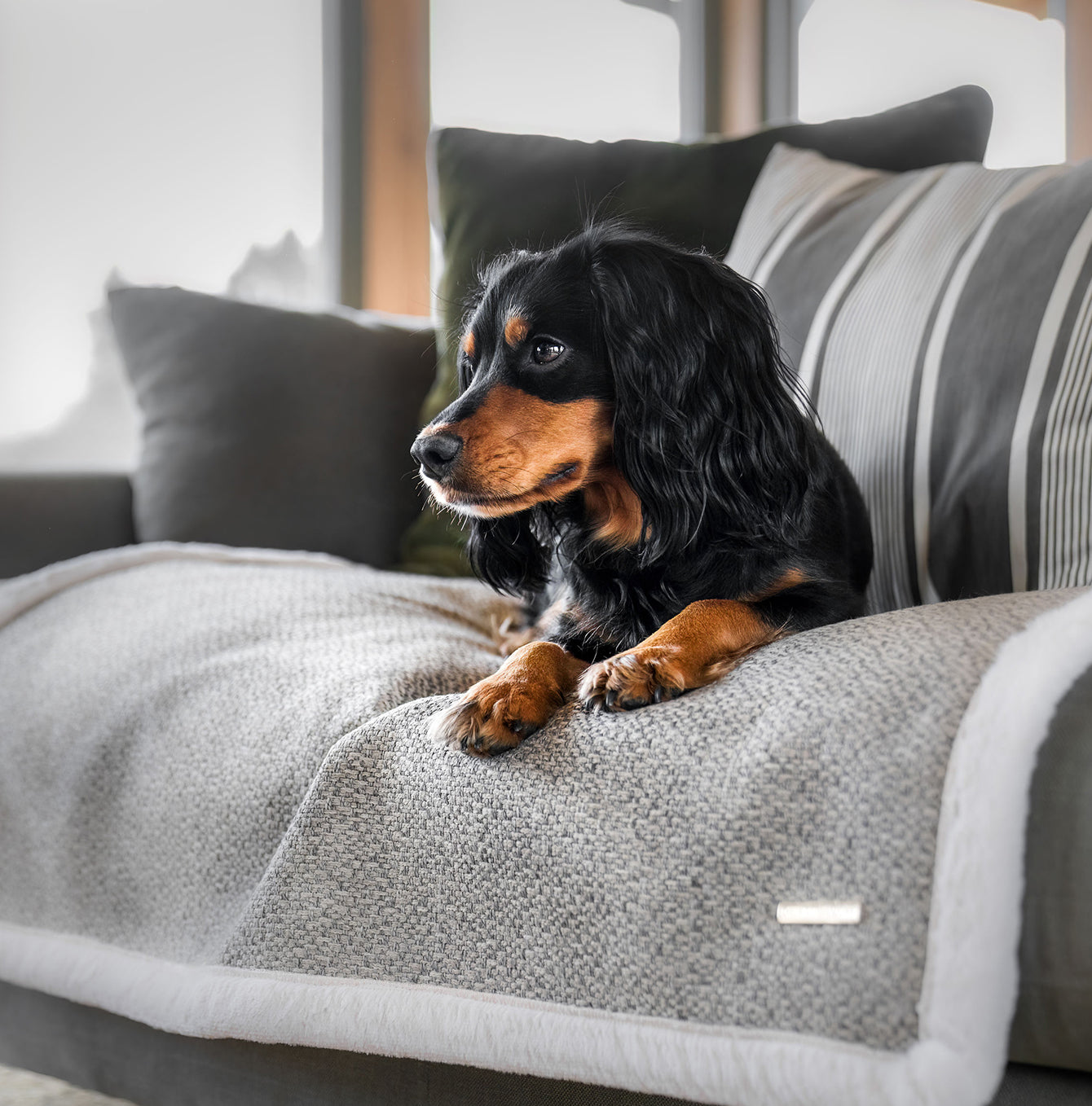 Present your furry friend with our luxuriously thick, plush blanket for your pet. Featuring a reverse side with hardwearing woven fabric handmade in Italy for the perfect high-quality pet blanket! Essentials Herdwick Blanket In Pebble, Available now at Lords & Labradors    