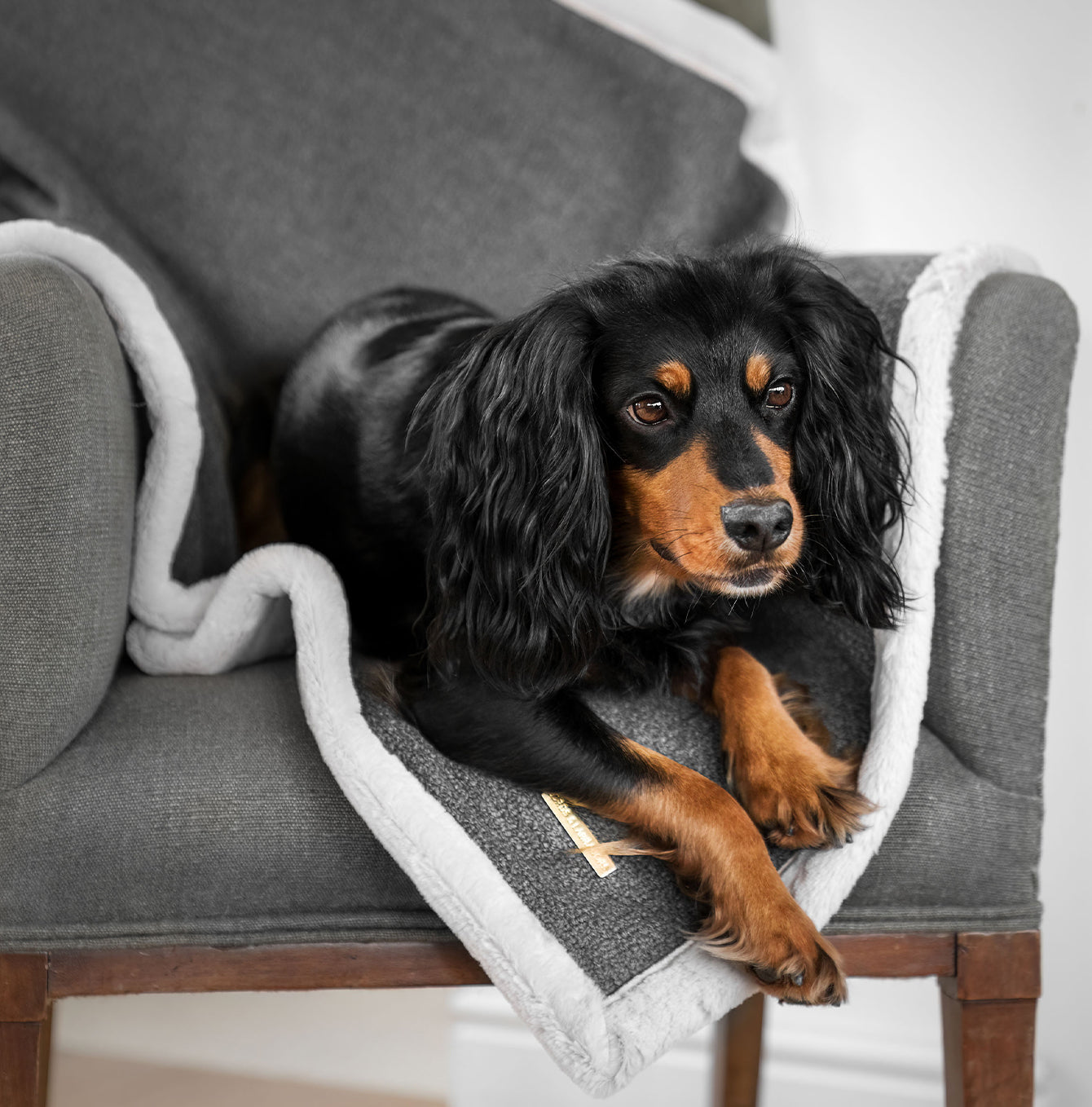 Present your furry friend with our luxuriously thick, plush blanket for your pet. Featuring a reverse side with hardwearing woven fabric handmade in Italy for the perfect high-quality pet blanket! Essentials Herdwick Blanket In Graphite, Available now at Lords & Labradors    