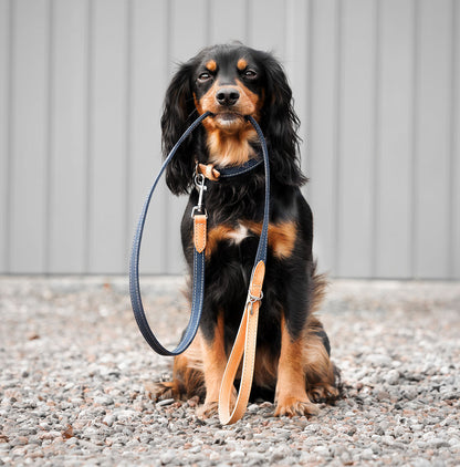 Discover dog walking luxury with our handcrafted Italian dog collar in beautiful essentials twill navy denim with denim blue fabric! The perfect collar for dogs available now at Lords & Labradors    