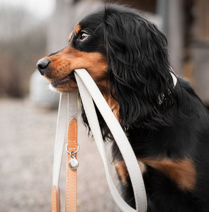 Discover dog walking luxury with our handcrafted Italian dog lead in beautiful essentials twill cream linen with cream fabric! The perfect lead for dogs available now at Lords & Labradors 