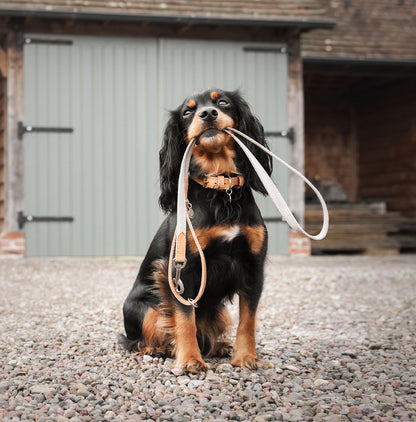 Discover dog walking luxury with our handcrafted Italian dog lead in beautiful essentials twill cream linen with cream fabric! The perfect lead for dogs available now at Lords & Labradors 