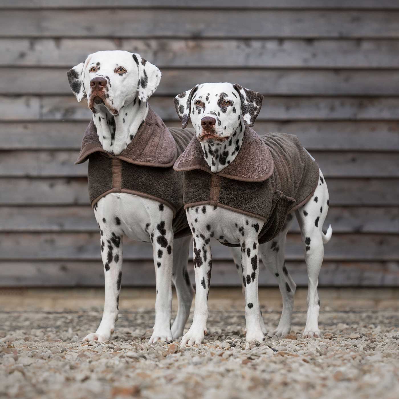 Discover the perfect dog drying with our bamboo dog drying coat in Mole (Brown) The ideal choice for pet drying after walking and bath-time. Made using luxurious bamboo to aid sensitive skin! Available to personalise now at Lords & Labradors in 5 sizes and 4 beautiful colours!        