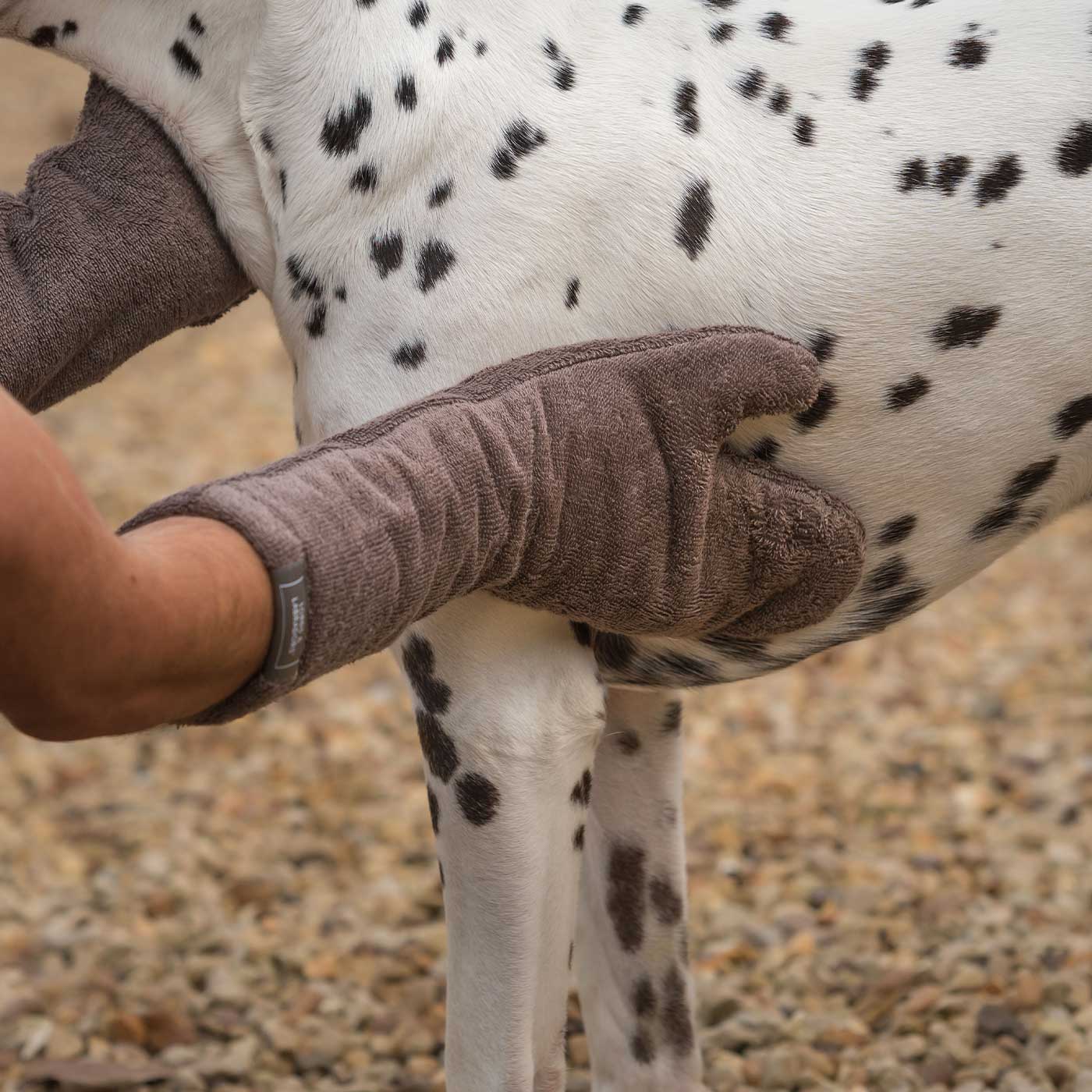 Introducing the ultimate bamboo dog drying mitts in beautiful Mole (Brown), made from luxurious bamboo to aid sensitive skin featuring universal size to fit all with super absorbent material for easy pet drying! The perfect dog drying gloves, available now at Lords & Labradors, In four colours!