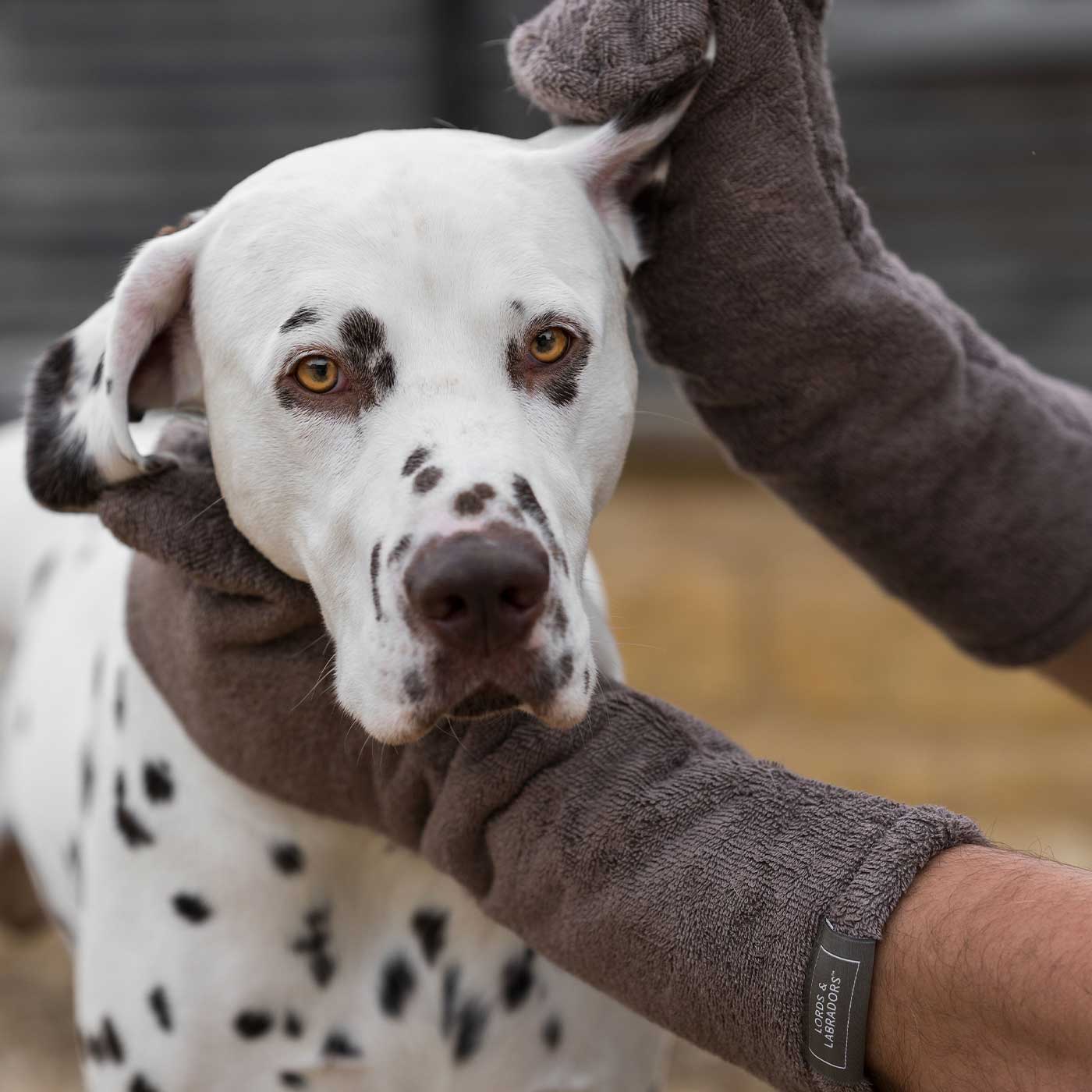 Introducing the ultimate bamboo dog drying mitts in beautiful Mole (Brown), made from luxurious bamboo to aid sensitive skin featuring universal size to fit all with super absorbent material for easy pet drying! The perfect dog drying gloves, available now at Lords & Labradors, In four colours!