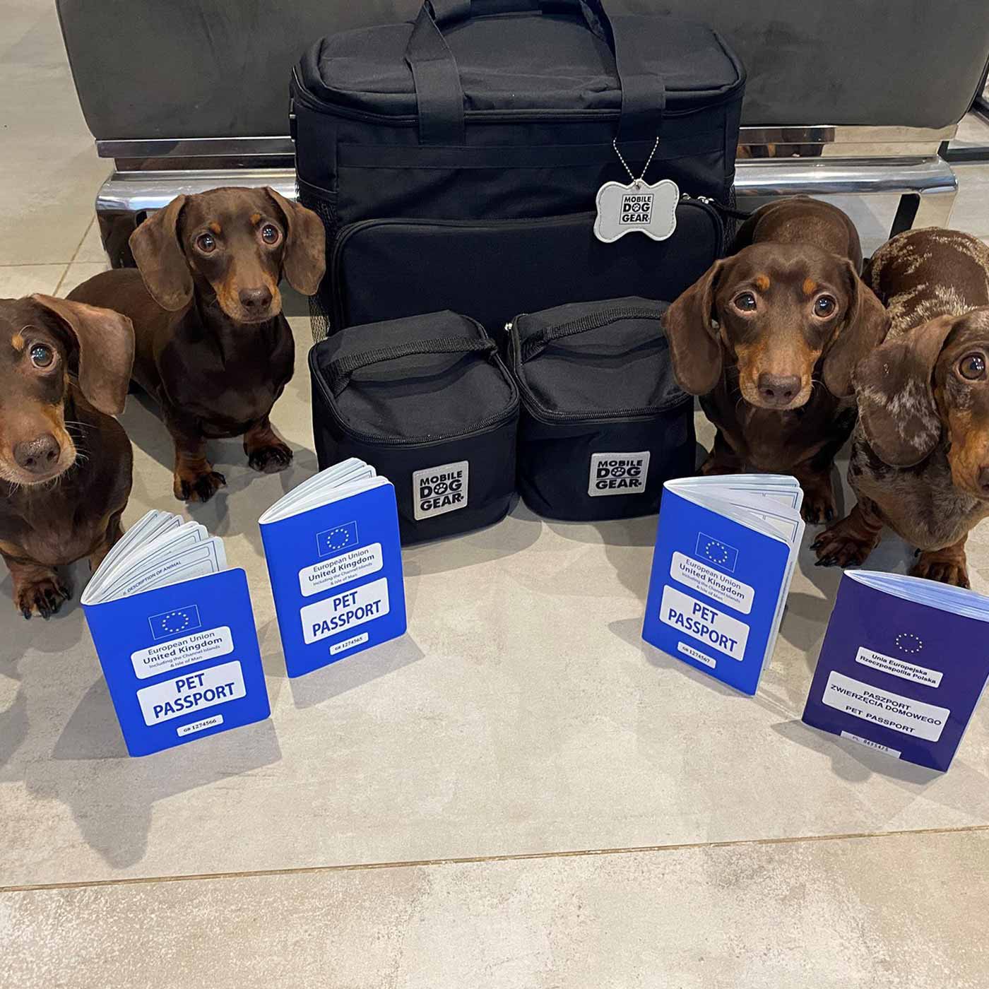 Discover, Mobile Dog Gear Week Away Bag, in Black. The Perfect Away Bag for any Pet Parent, Featuring dividers to stack food and built in waste bag dispenser. Also Included feeding set, collapsible silicone bowls and placemat! The Perfect Gift For travel, meets airline requirements. Available Now at Lords & Labradors