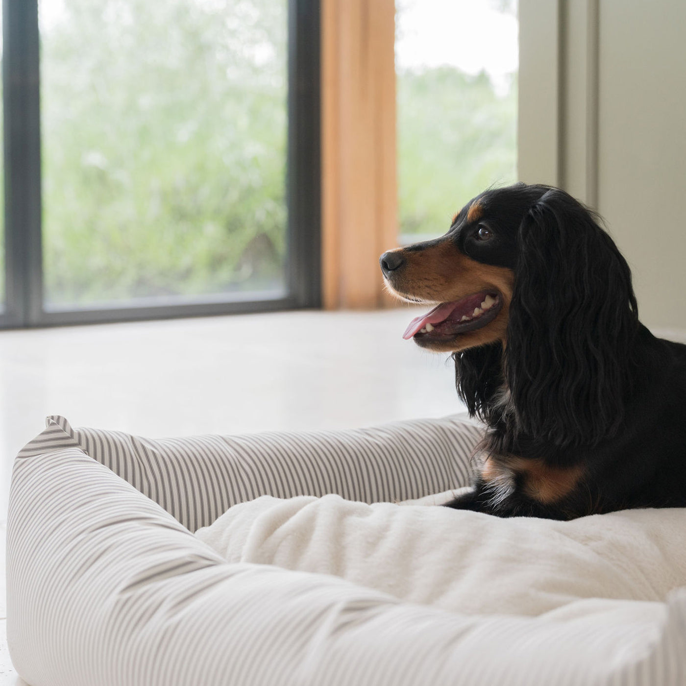 Box Bed For Dogs in Regency Stripe  by Lords & Labradors