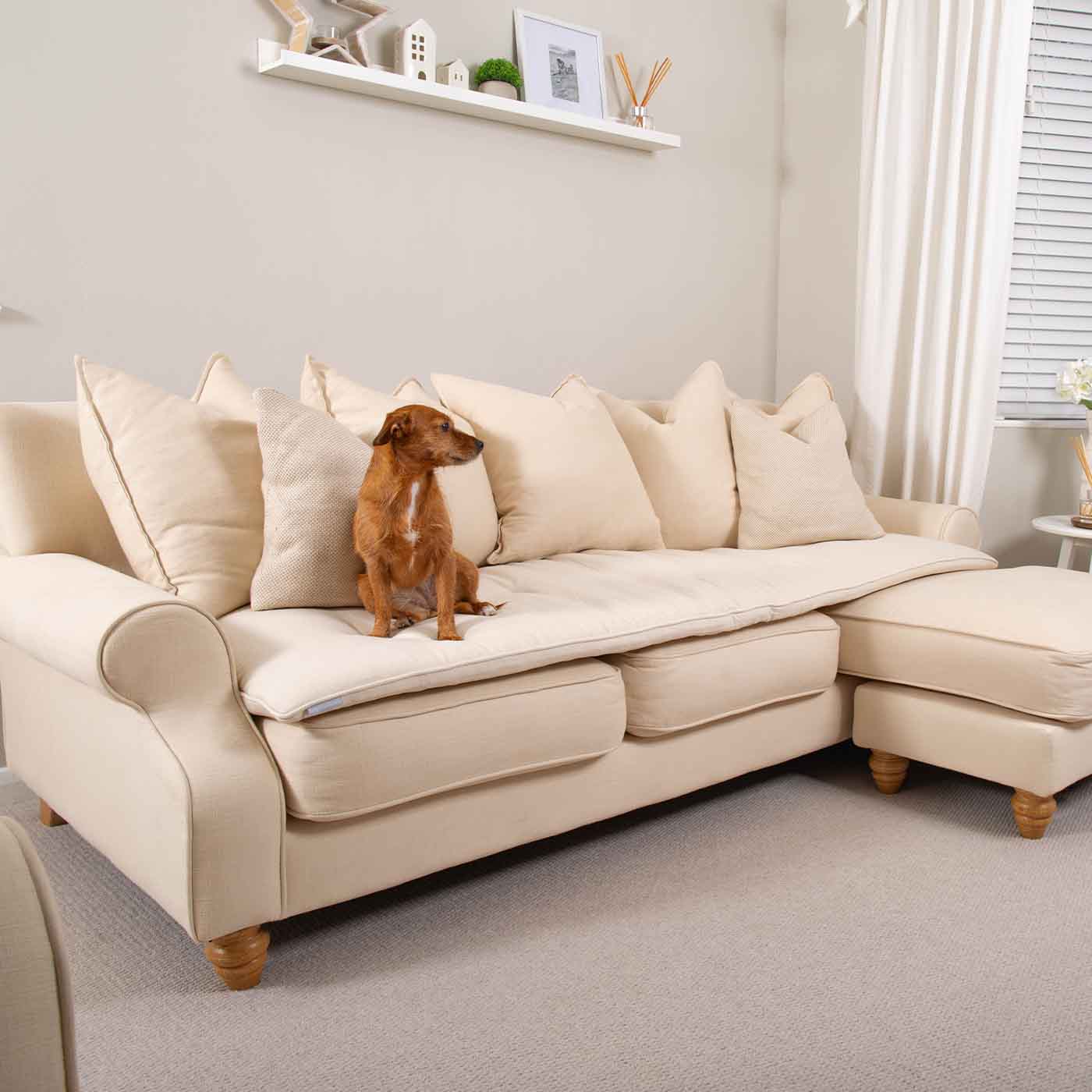 Discover Our Luxury Savanna Sofa Topper, The Perfect Pet sofa Accessory In Stunning Savanna Bone! Available Now at Lords & Labradors