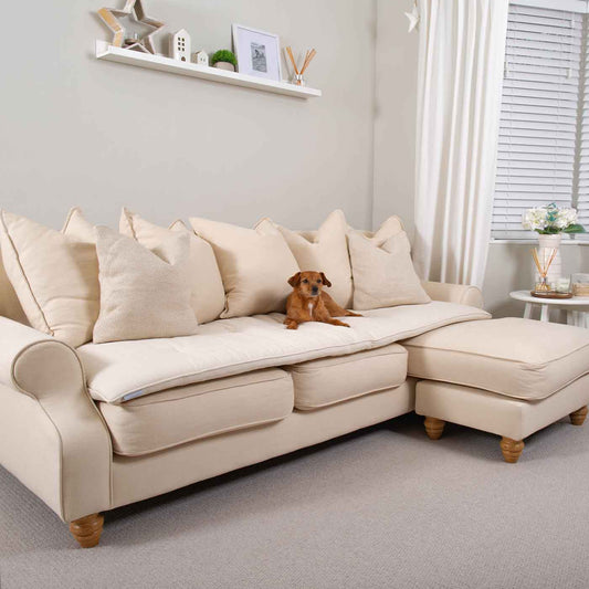 Discover Our Luxury Savanna Sofa Topper, The Perfect Pet sofa Accessory In Stunning Savanna Bone! Available Now at Lords & Labradors