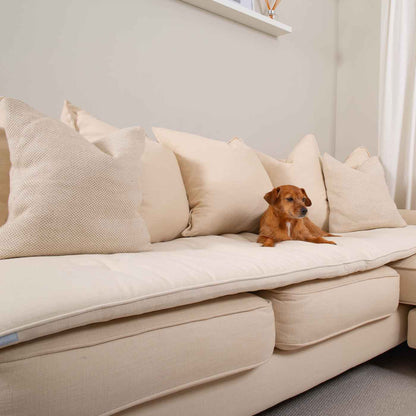 Discover Our Luxury Savanna Sofa Topper, The Perfect Pet sofa Accessory In Stunning Savanna Bone! Available Now at Lords & Labradors