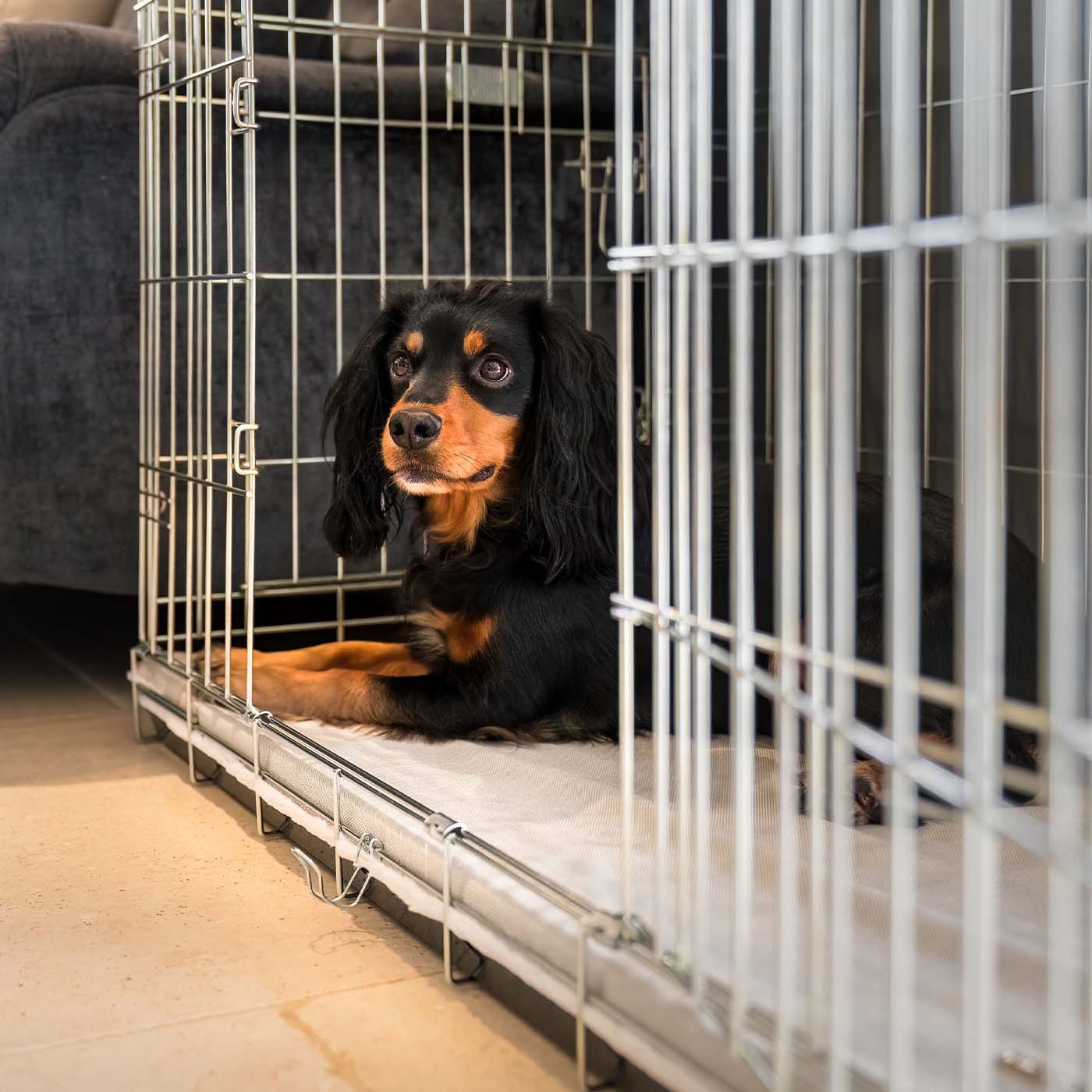 Discover the perfect dog crate accessory, our luxury essentials twill crate mattress in stunning cream linen. Present to your furry friend with this Italian handmade crate mattress for dogs, available now at Lords & Labradors    