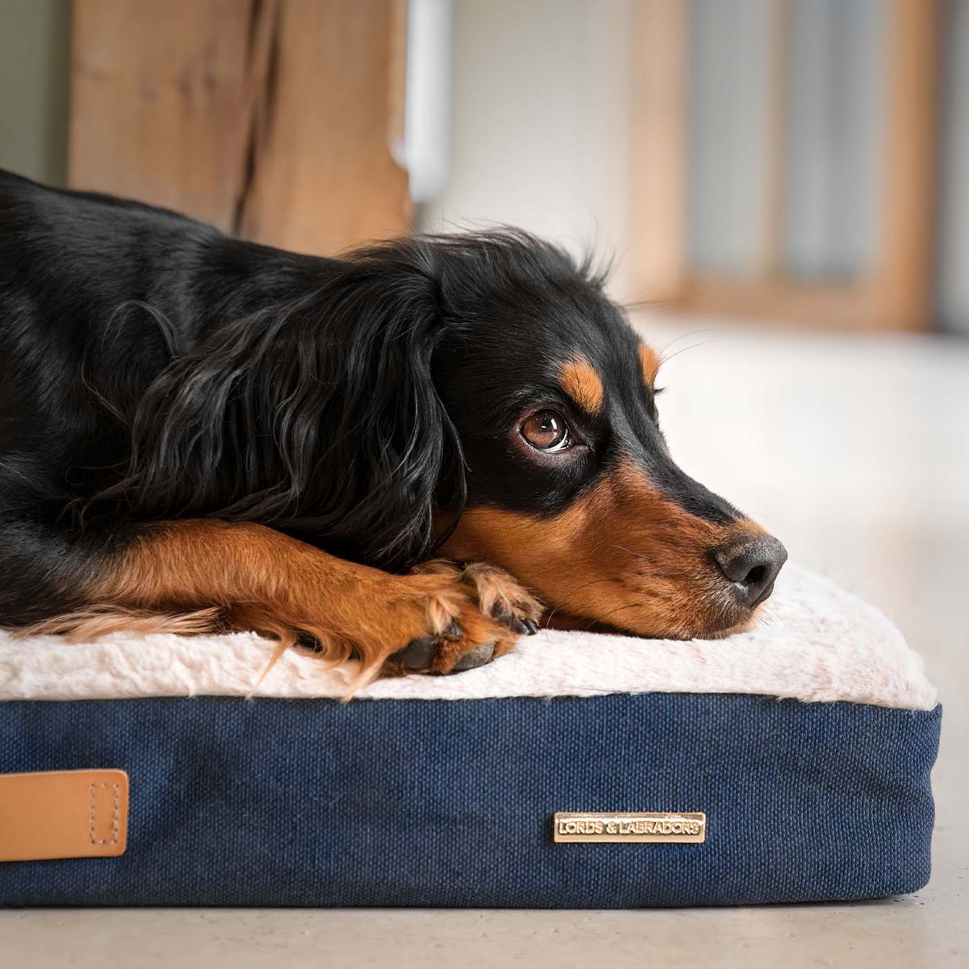 Discover the perfect dog mattress, our luxury essentials twill Orthopaedic mattress in stunning navy denim. Present to your furry friend with this Italian handmade mattress for dogs, available now at Lords & Labradors  