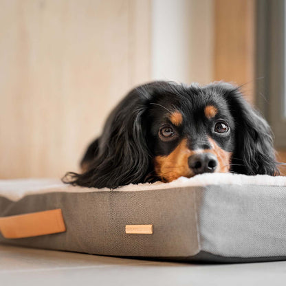 Discover the perfect dog mattress, our luxury essentials twill Orthopaedic mattress in stunning grey slate. Present to your furry friend with this Italian handmade mattress for dogs, available now at Lords & Labradors    