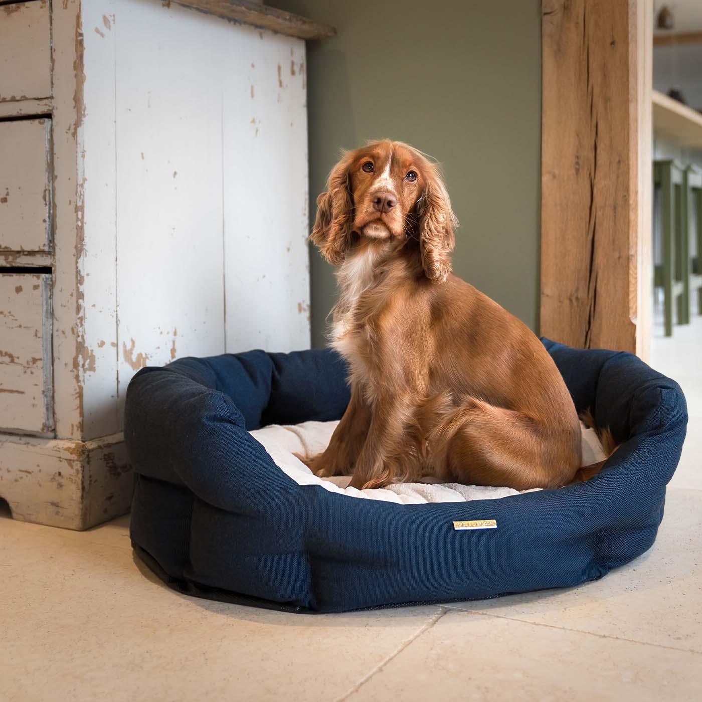 Discover our luxury twill oval dog bed in beautiful Denim, the ideal choice for dogs to enjoy blissful nap-time, featuring reversible inner cushion with raised sides for dogs who love to rest their head for the ultimate cosiness! Handcrafted in Italy for pure pet luxury! Available now at Lords & Labradors 