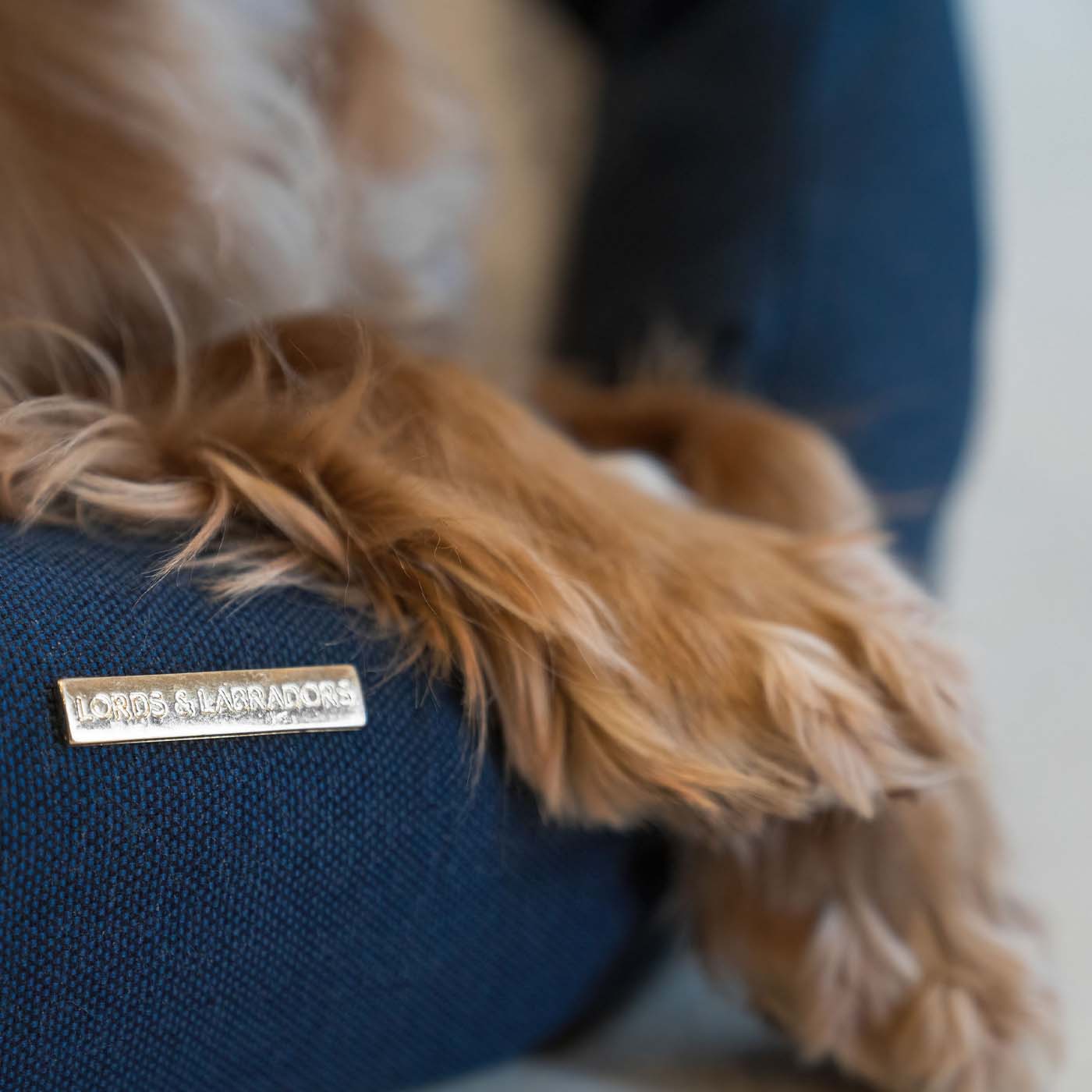 Discover our luxury twill oval dog bed in beautiful Denim, the ideal choice for dogs to enjoy blissful nap-time, featuring reversible inner cushion with raised sides for dogs who love to rest their head for the ultimate cosiness! Handcrafted in Italy for pure pet luxury! Available now at Lords & Labradors 