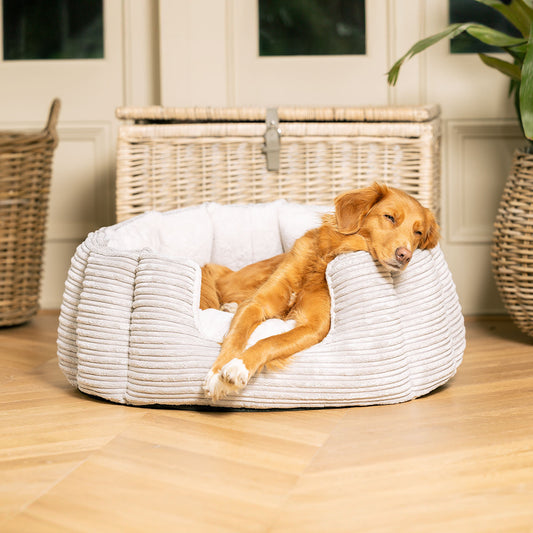 Discover Our Luxurious High Wall Bed For Dogs, Featuring inner pillow with plush teddy fleece on one side To Craft The Perfect Cat Bed In Stunning Essentials Light Grey Plush! Available To Personalise Now at Lords & Labradors    